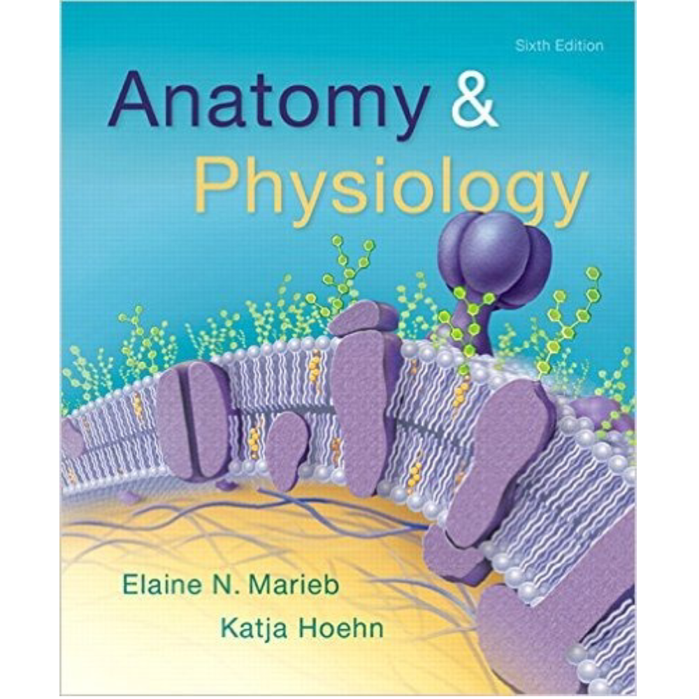 Anatomy And Physiology 6th Edition By Elaine N Marieb