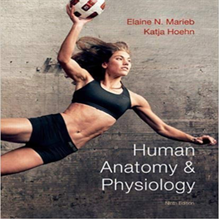 Anatomy And Physiology 9th Edition By Marieb – Test Bank