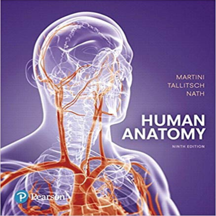 Human Anatomy 9th Edition By Frederic H. Martini – Test Bank