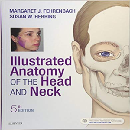 Illustrated Anatomy Of The Head And Neck 5th Edition By Fehrenbach RDH MS – Test Bank