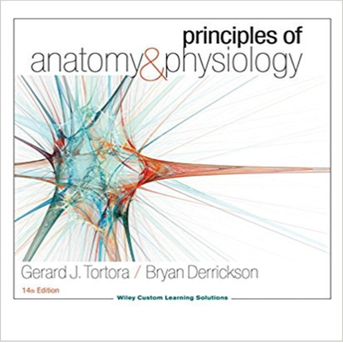 Principles Of Anatomy Physiology 14th Edition By Gerard J Tortora – Test Bank