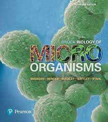 Brock Biology Of Microorganis 15th Edition By Madigan, Kelly S. Test Bank