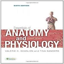 Essentials Of Anatomy & Physiology 6th Edition By Scanlon Sanders Test Bank